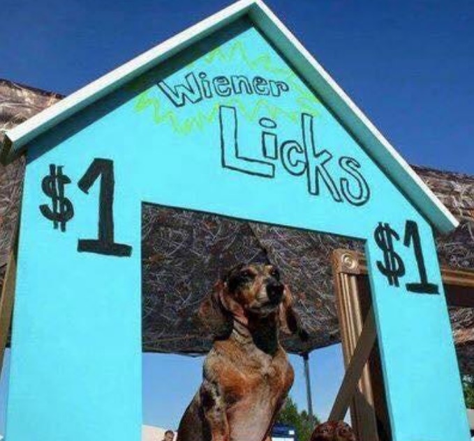 Dog at a Wiener licks booth for $1