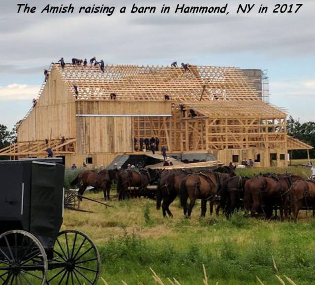 amish reddit - The Amish raising a barn in Hammond, Ny in 2017