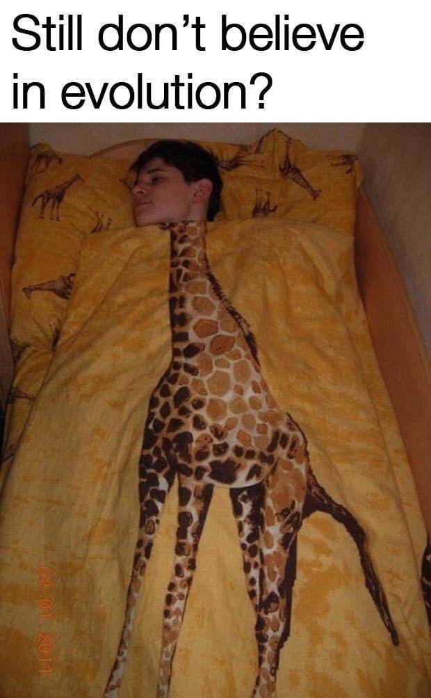giraffe bed sheets - Still don't believe in evolution?