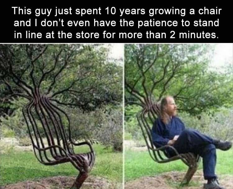 tree chair - This guy just spent 10 years growing a chair and I don't even have the patience to stand in line at the store for more than 2 minutes.