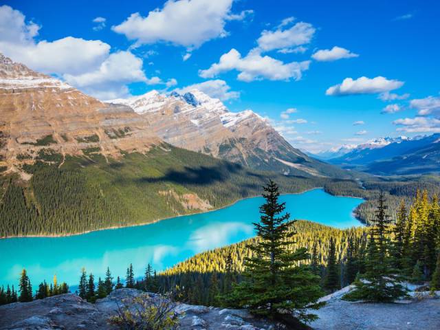 Peyto Lake, Banff National Park, Canada

It's hard to believe that Peyto Lake's sparkling turquoise water is natural, but the color actually comes from significant amounts of glacial flour (tiny rock particles that result from glacial erosion) that are deposited into the water.