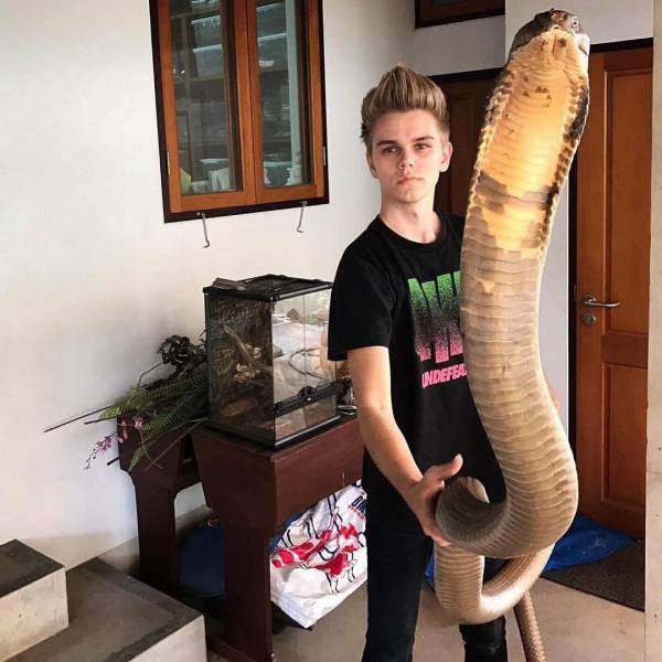 Cool picture of a kid holding up his pet snake