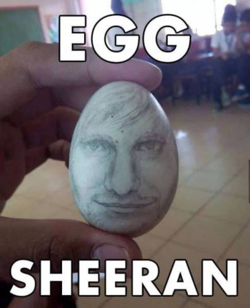 creative food ed sheeran egg meme - Egg Sheeran