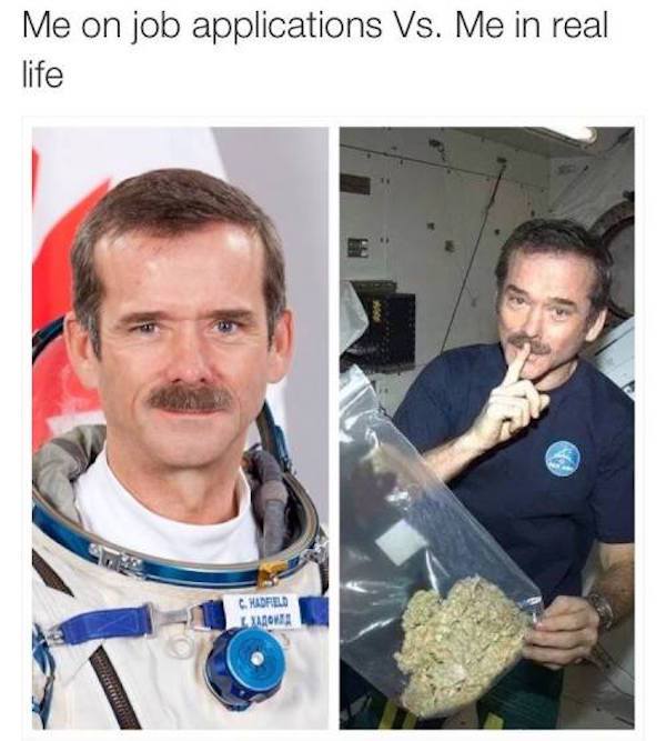 Funny meme of Chris Hatfield, the Canadian astronaut with pic of how he looked on job application VS IRL with hug bag of dank weed.