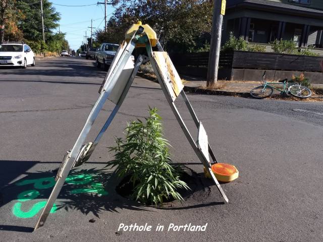 pothole measure meme - Pothole in Portland