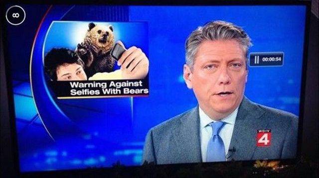 News update reminding viewers and warning them against taking selfies with bears.