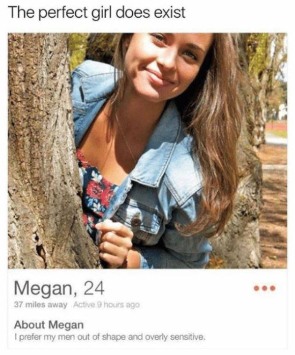 thechive dank meme - The perfect girl does exist Megan, 24 37 miles away Active 9 hours ago About Megan I prefer my men out of shape and overly sensitive.