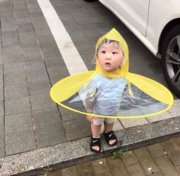 funny umbrella