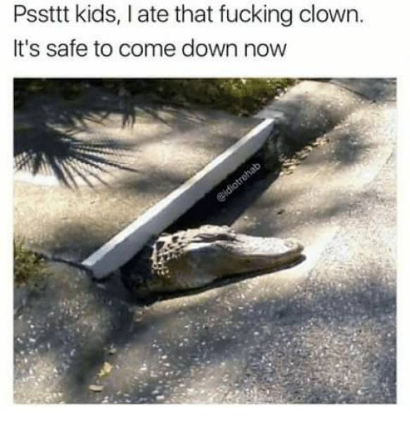 random pic alligator meme - Pssttt kids, I ate that fucking clown. It's safe to come down now Gldiotrehab