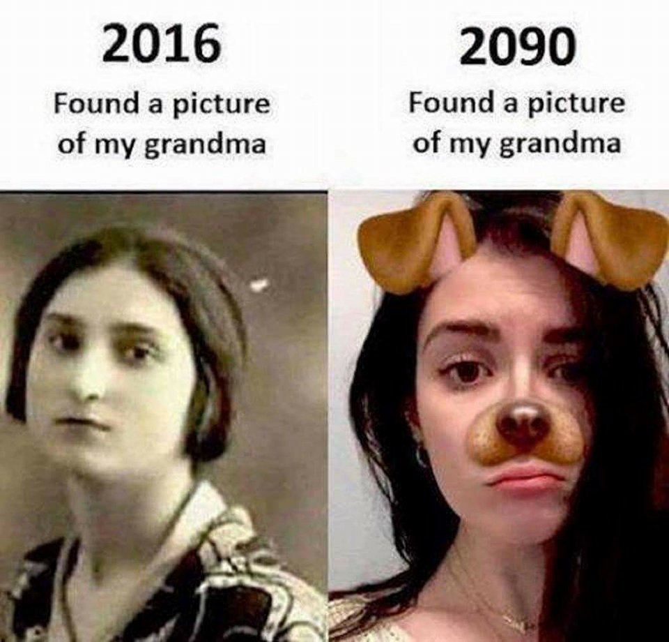 random pic dog filter meme - 2016 Found a picture of my grandma 2090 Found a picture of my grandma