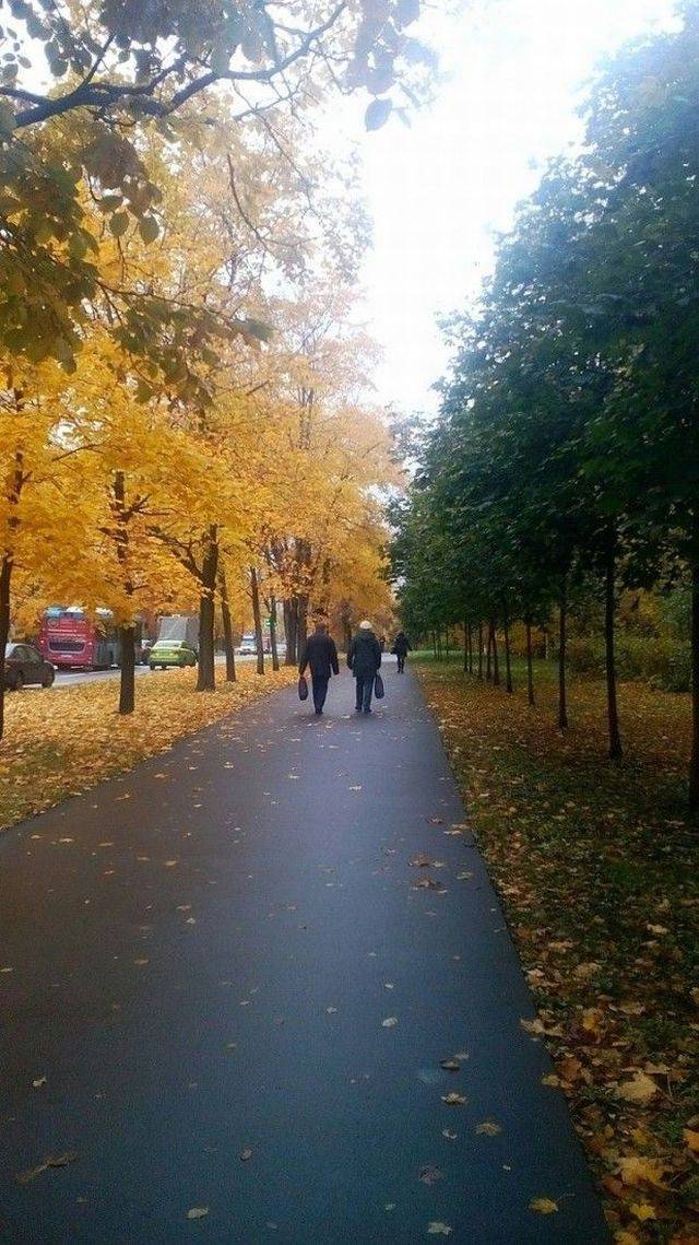 Walk in the park on a nice autumn day