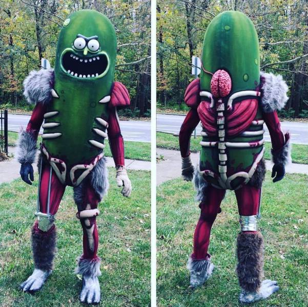 pickle rick costume