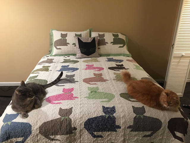 cats sharing the bed oh so nicely