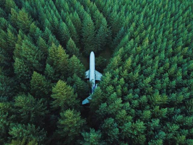 full size jet plane in the middle of the forest