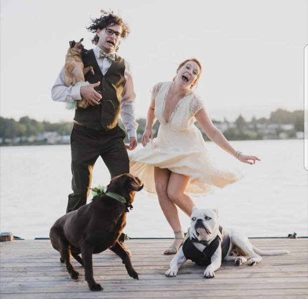 bride and groom jumping around with dogs