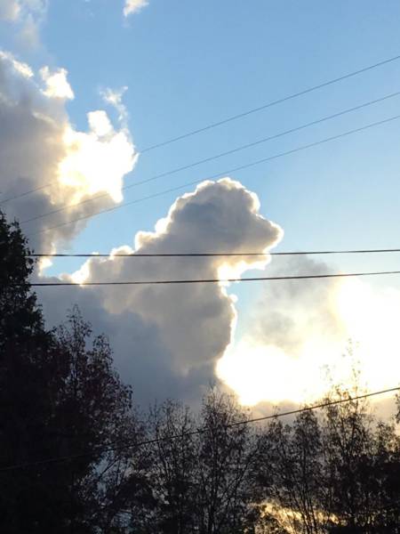 cloud that looks like a dog