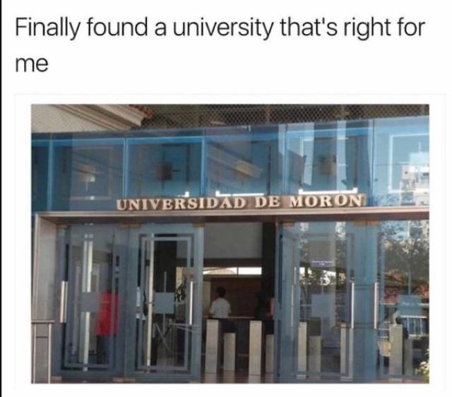 36 Funny Memes And Images Show The College Struggle Is Real - Gallery ...