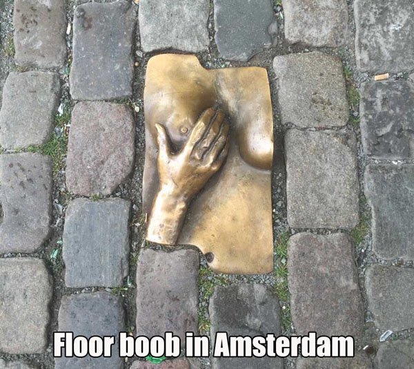snout - Floor boob in Amsterdam