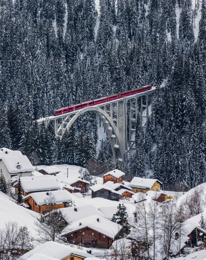 snow forest red train