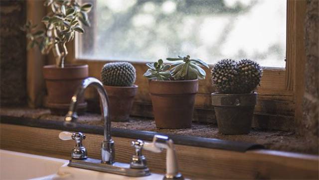 The dirtiest part of the house usually it’s the kitchen sink. In fact, the sink tends to have more fecal matter than the toilet seat. Why? E. coli thrive on the food and moisture