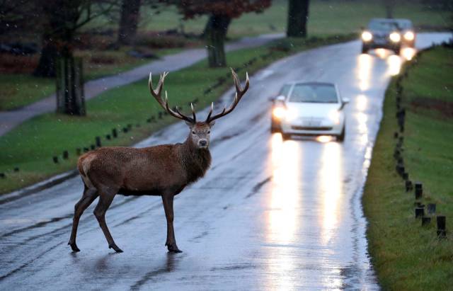 40 Fab Fun Photos To Rock Your Holiday Weekend