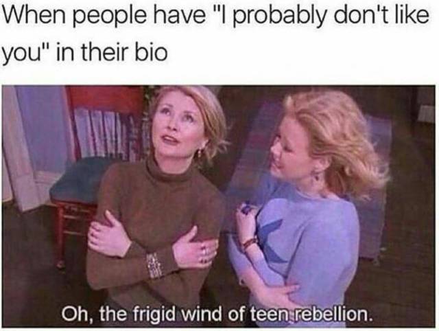 frigid wind of teenage rebellion - When people have "I probably don't you" in their bio Oh, the frigid wind of teen rebellion.