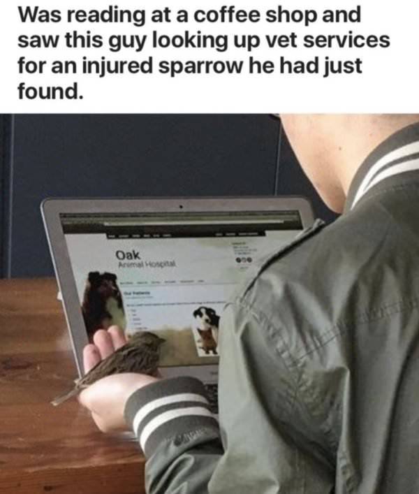 arm - Was reading at a coffee shop and saw this guy looking up vet services for an injured sparrow he had just found. Oak
