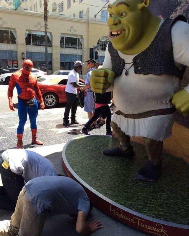 people worshipping shrek - Madame Tussauds Movic