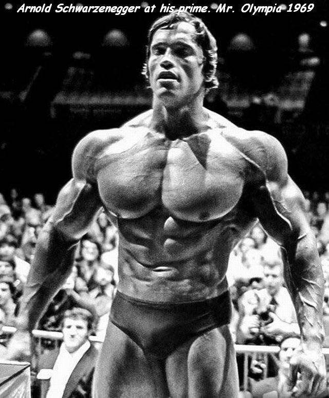 mr olympia arnold schwarzenegger - Arnold Schwarzenegger at his prime. Mr. Olympia 1969