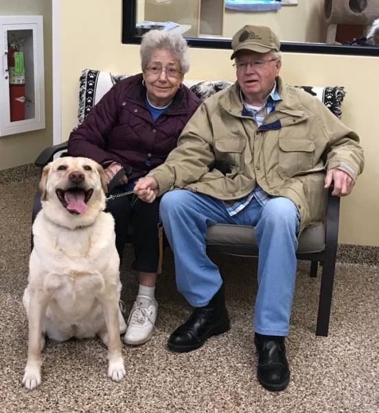 This old dog was just adopted from a nearby shelter by this older couple and according to its facial expression, the dog is absolutely happy.