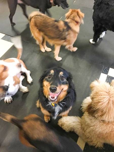 “When you get to bring your dog to work and she reminds you that you’re her favorite person.”