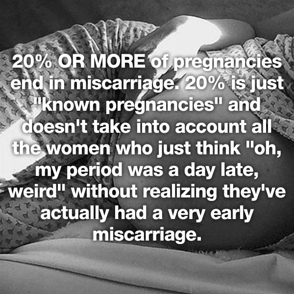 fat kid - 20% Or More of pregnancies end in miscarriage. 20% is just "known pregnancies" and doesn't take into account all the women who just think "oh, my period was a day late, weird" without realizing they've actually had a very early miscarriage.