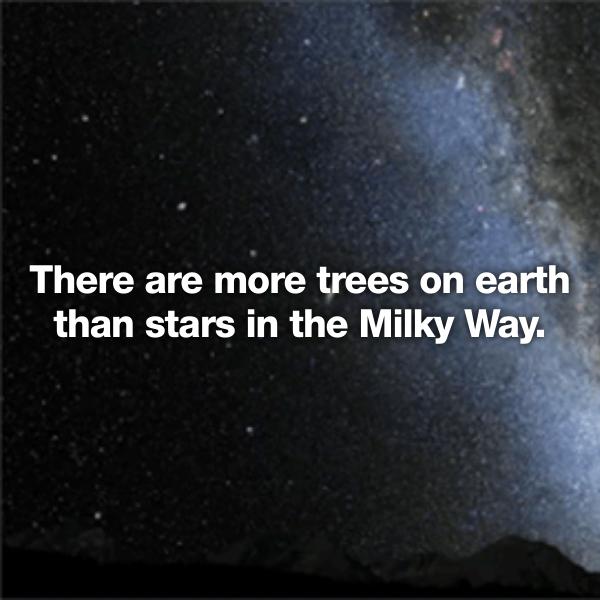powered by bmw motorsport - There are more trees on earth than stars in the Milky Way.