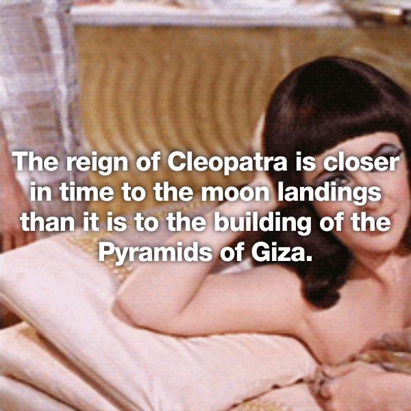 photo caption - The reign of Cleopatra is closer in time to the moon landings than it is to the building of the Pyramids of Giza.