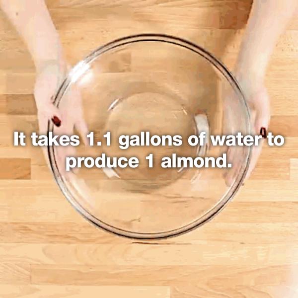 whisk - It takes 1.1 gallons of water to produce 1 almond.