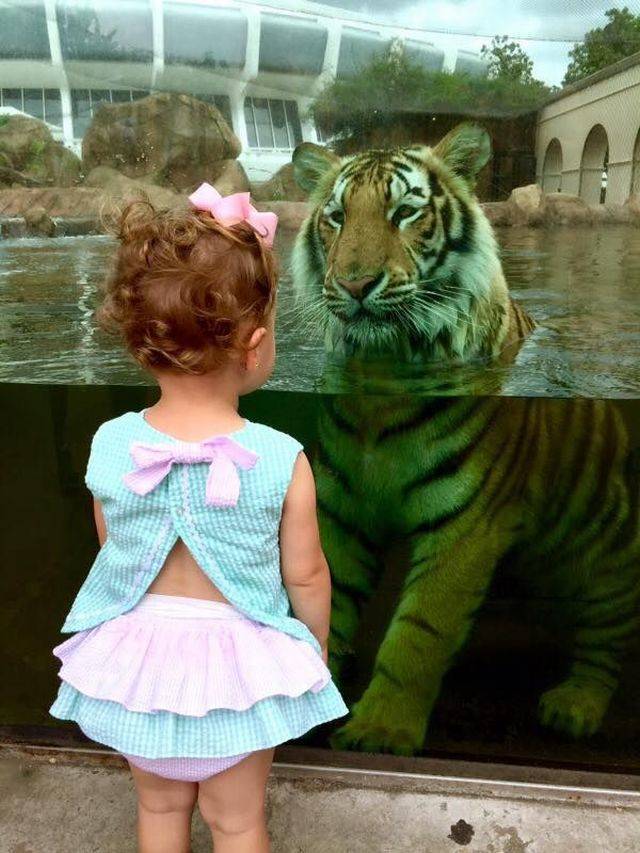 девочка и тигр зоопарк