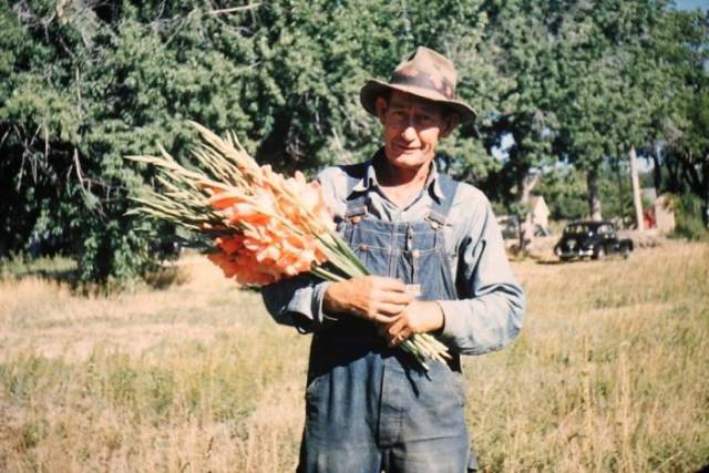 Farmer With A Bouquet Of Flowers
