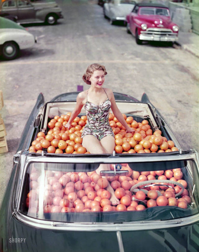 Fresh-Squeezed, 1951
