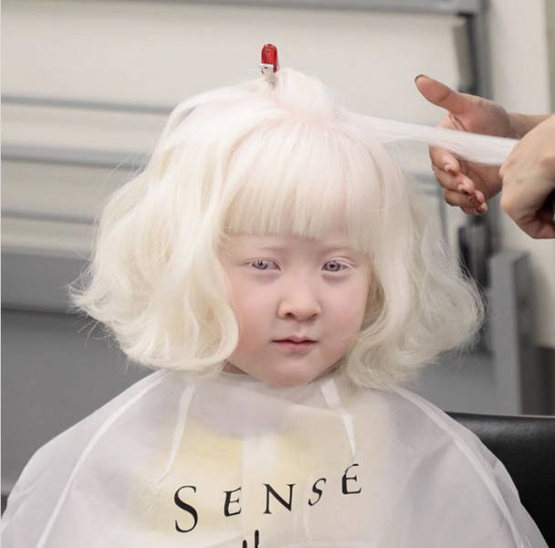 albino chinese people
