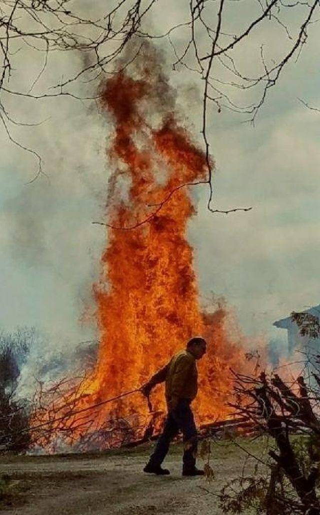 My mom sent me this photo of a guy burning wood behind her house. Looked to me like a promo poster for an up coming horror film.