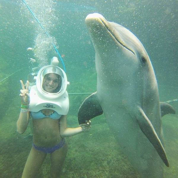 hot girl wearing a scuba diving helmet and posing under water with a dolphin, holding his flipper with her hand and giving the peace sign with the other hand. Bubbles all over the place. 1f4g6b8t5