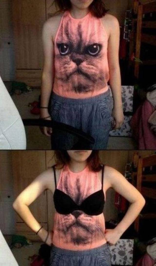funny cat bra