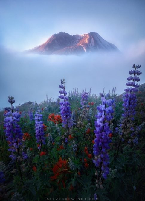 This beautiful photo of Mount Saint Helens is hard to believe