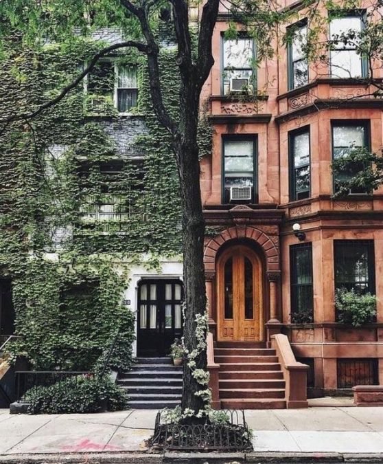 A tree divides two very different but equally beautiful houses in New York.