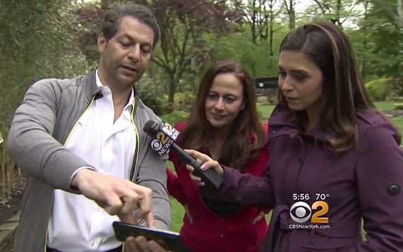Matthew and Maria Colonna Emanuel had assumed the silver box beneath some trees outside of their home was simply an old cable box, according to CBS New York. It wasn’t until a deer destroyed the foliage that the couple decided to do some landscaping work — and realized the hidden box was something much more valuable.