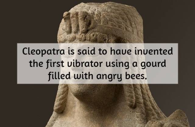 interesting historical facts - Cleopatra is said to have invented the first vibrator using a gourd filled with angry bees.