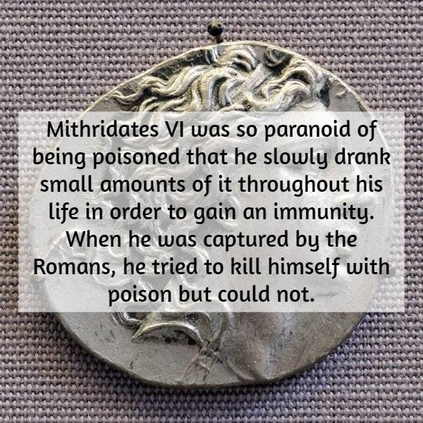 mithridates coin hd - Mithridates Vi was so paranoid of 5 being poisoned that he slowly drank small amounts of it throughout his life in order to gain an immunity. When he was captured by the Romans, he tried to kill himself with poison but could not.