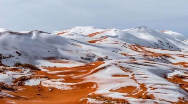 It has snowed for 3 years in a row in The Sahara Desert.

It seems humanity will soon get used to this phenomenon, which is, unfortunately, not the norm.