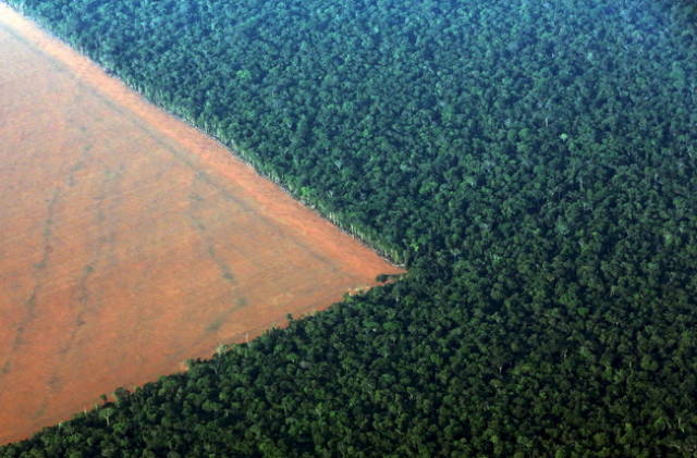 Felling of tropical forests in Brazil-If the loss of agricultural land was compensated by deforestation, there would be almost no forests left. If humanity keeps its current pace of deforestation, all forests will be destroyed by 2040.