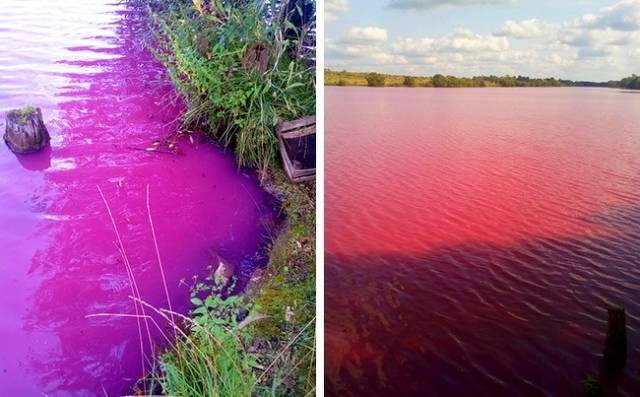 .This pink color appeared in one of Russia’s city reservoirs.The change in the chemical composition of the atmosphere causes the formation of acid rain. It poisons the environment and contaminates soil and water reservoirs.